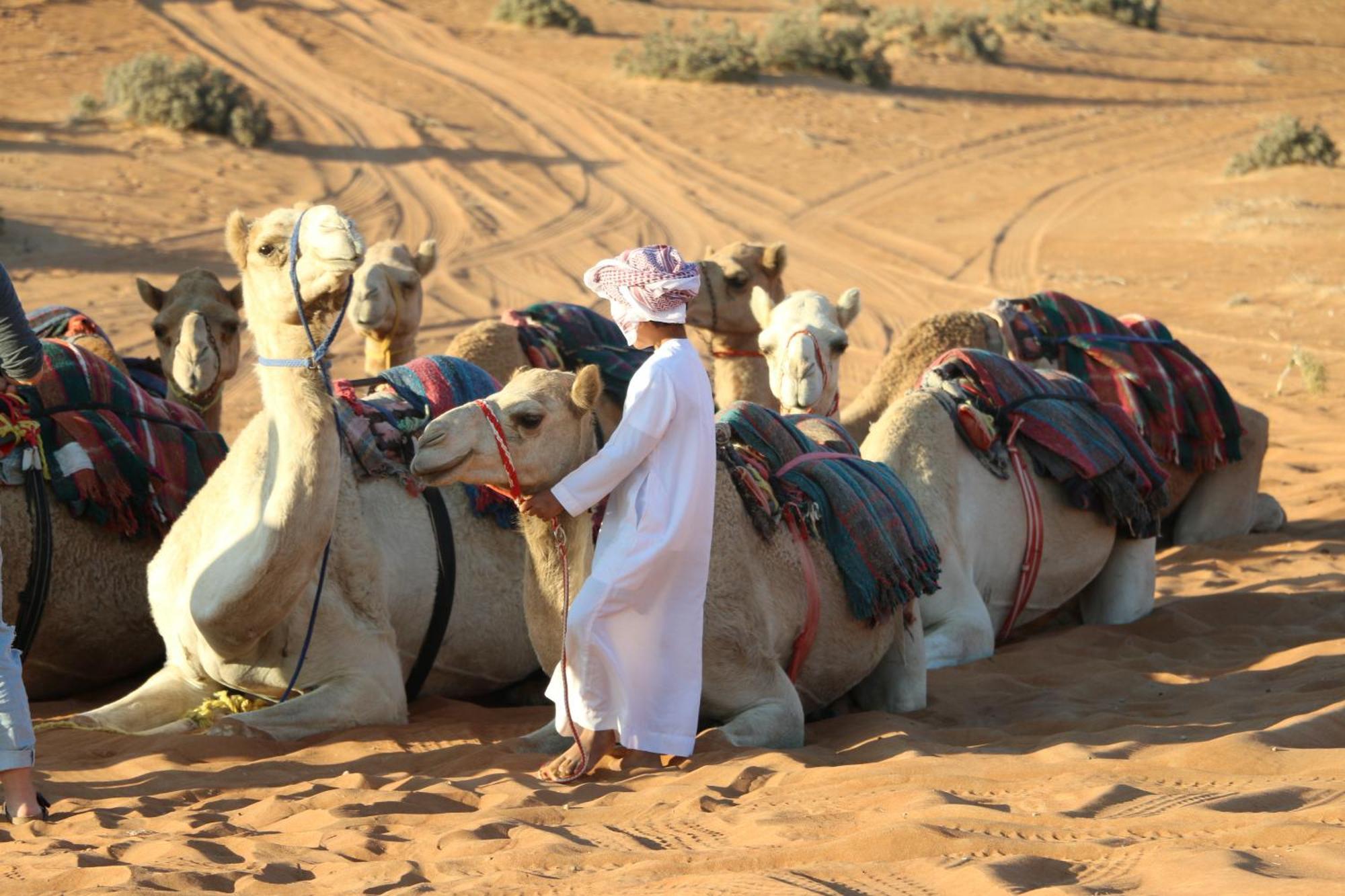 Private Bedouin Tent -Odpc شاحك المظهر الخارجي الصورة
