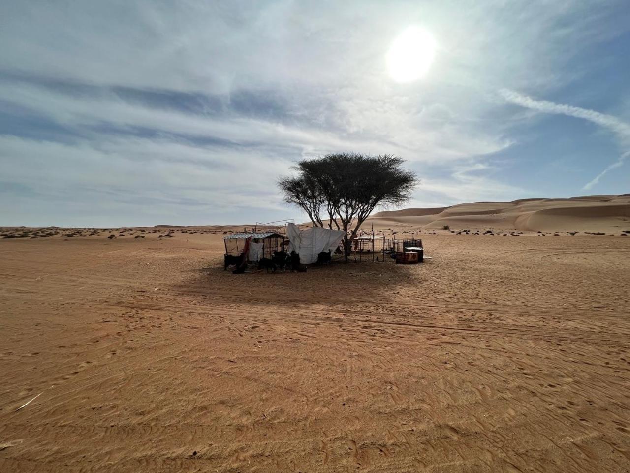 Private Bedouin Tent -Odpc شاحك المظهر الخارجي الصورة